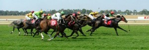Horse Racing
