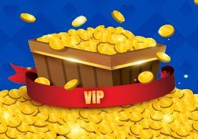 Vip bonuses