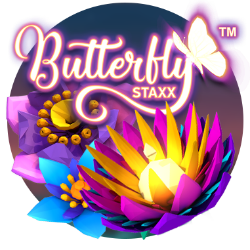ButterflyStaxx250