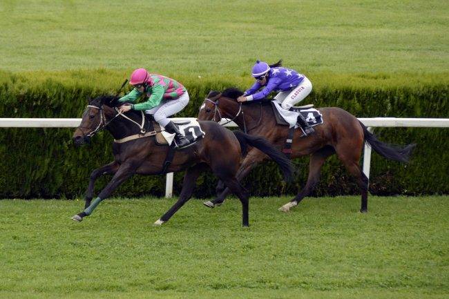 NZ Racing Industry Four-percent Levy Scrapped